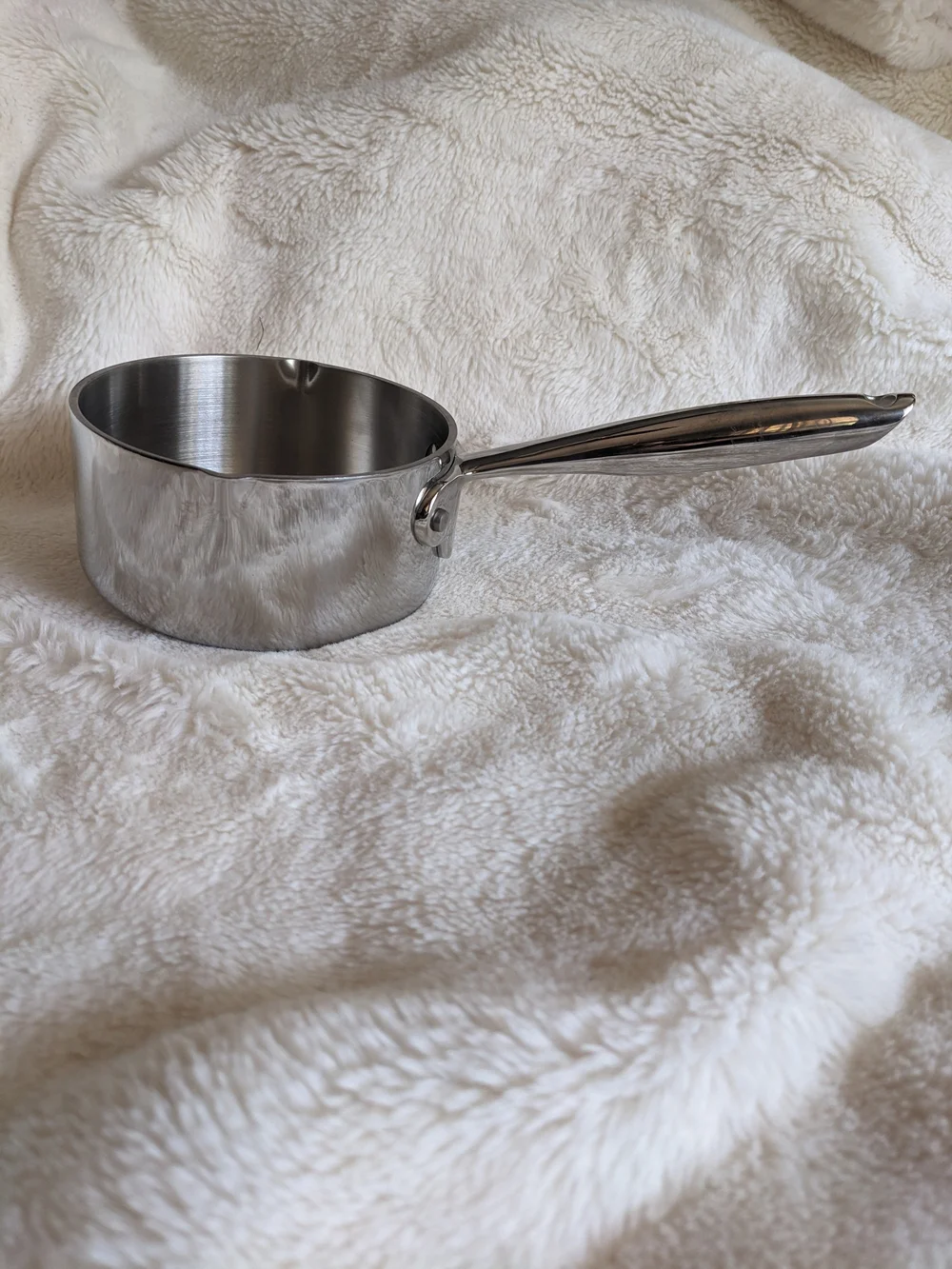 Williams Sonoma Stainless Steel Saucepan - Silver